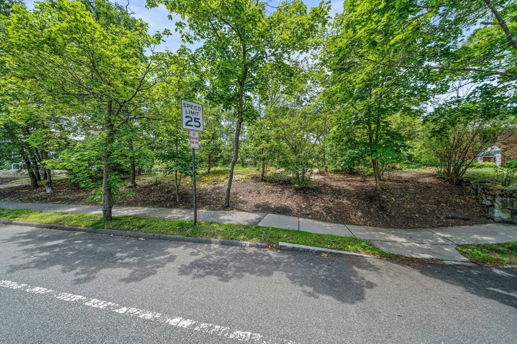 335 Langley Road Newton, MA 02459 - Photo 4 of 15 a view of a park