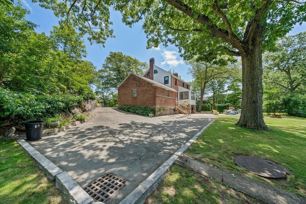 335 Langley Road Newton, MA 02459 - Photo 7 of 15 a view of a yard with plants and a large tree