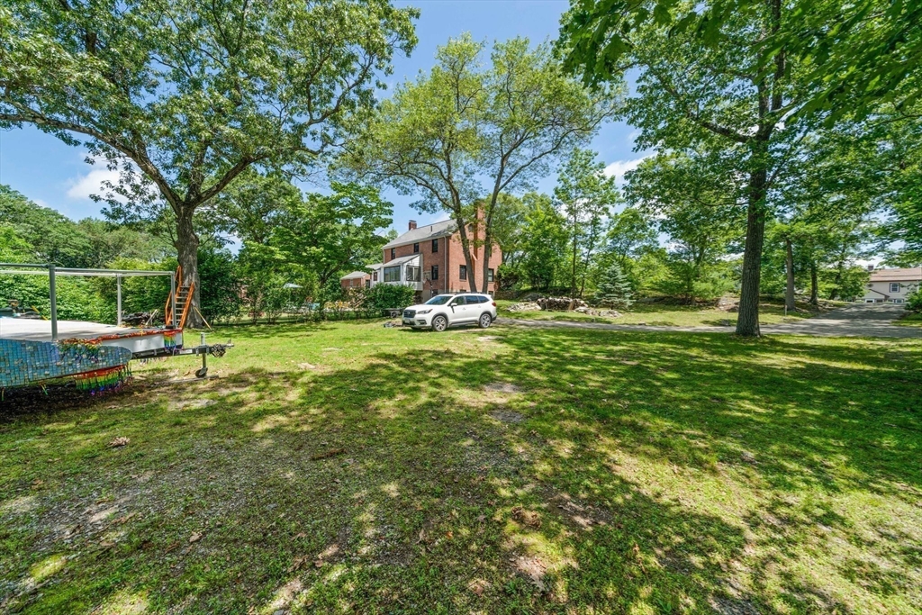335 Langley Road Newton, MA 02459 - Photo 9 of 15 a view of a tree in a yard
