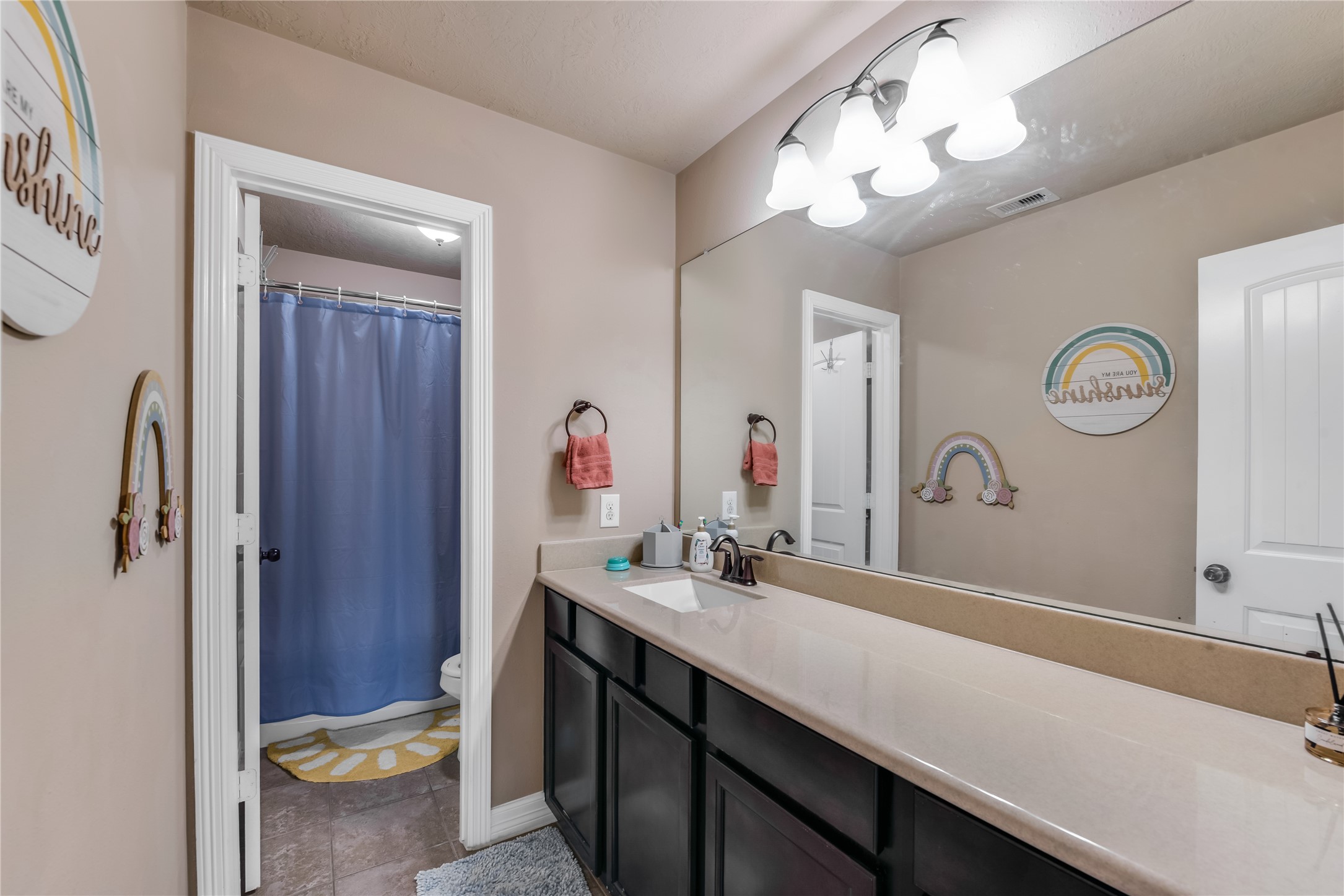 25118 Andris Lane Spring, TX 77386 - Photo 30 of 42 a bathroom with a sink a toilet and a mirror