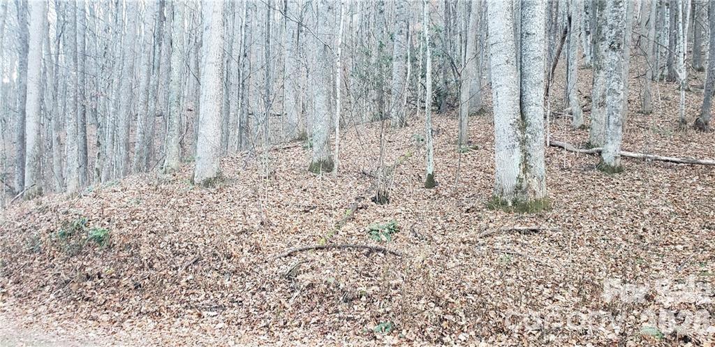 36 Miner Road Waynesville, NC 28785 - Photo 4 of 5
