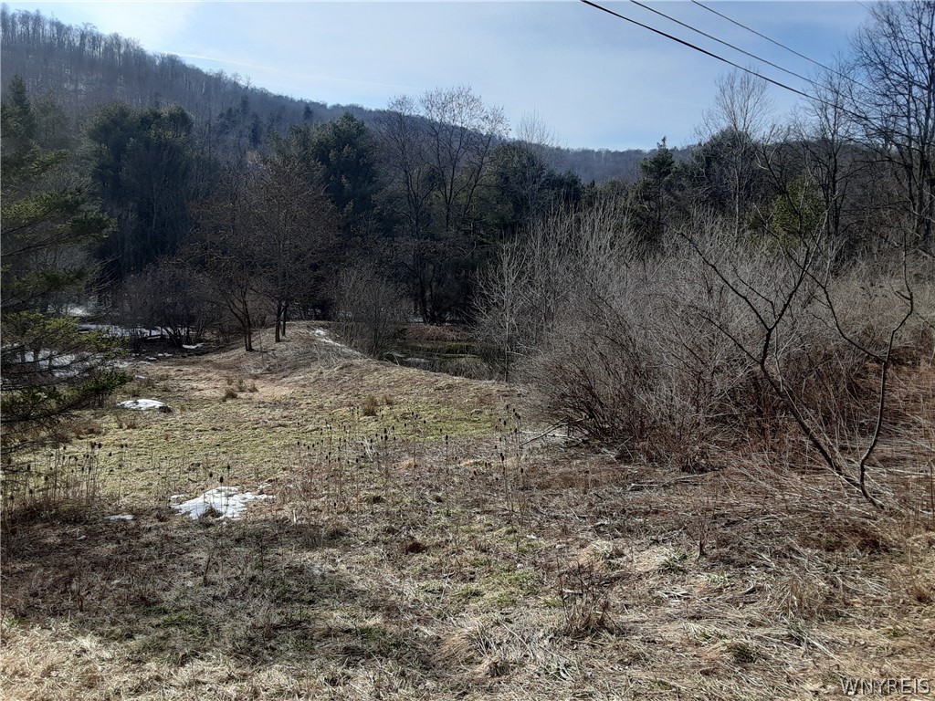 Lot A Porter Hollow Road Great Valley, NY 14741 - Photo 12 of 13