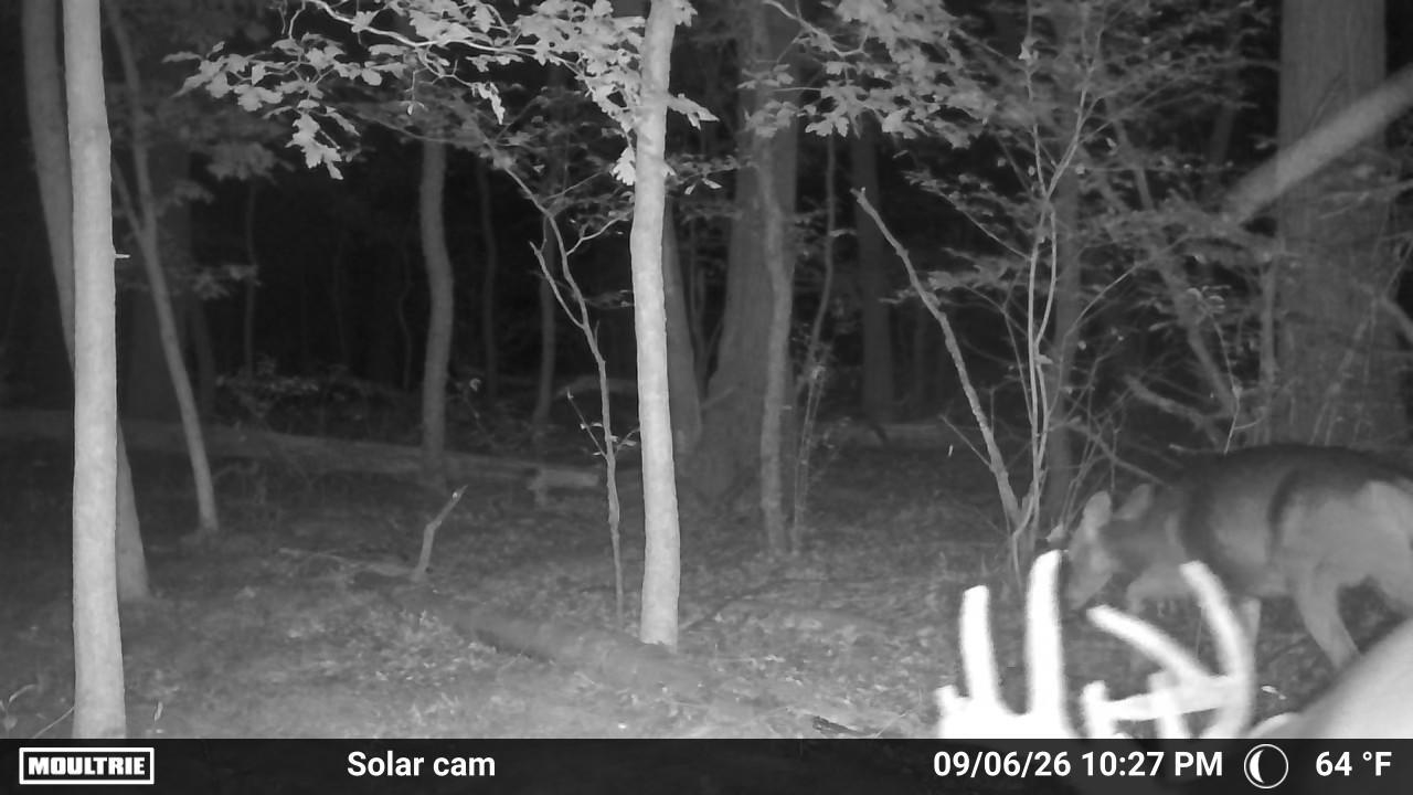 34th Road Berlin, WI 54923 - Photo 29 of 37 Gallery Image 29