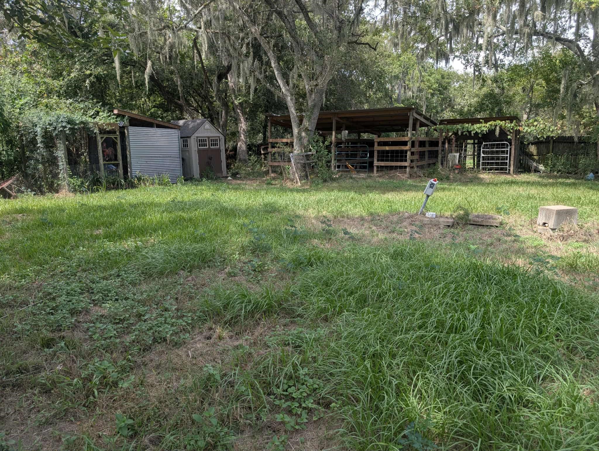 1225 County Road 878B Sweeny, TX 77480 - Photo 9 of 9 a backyard of a house with lawn chairs and a large tree