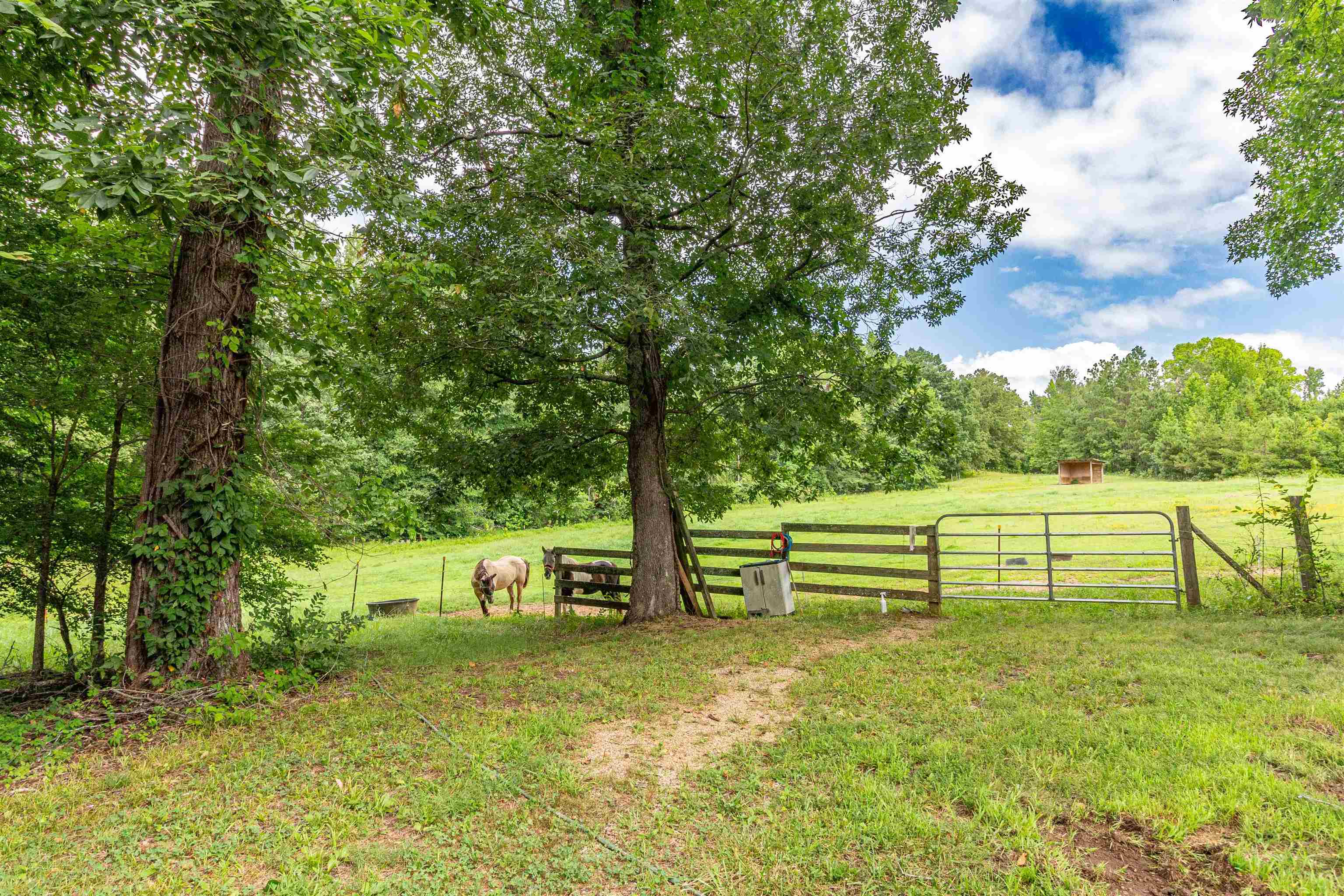 2029 Chewalla Road Ramer, TN 38367 - Photo 34 of 39
