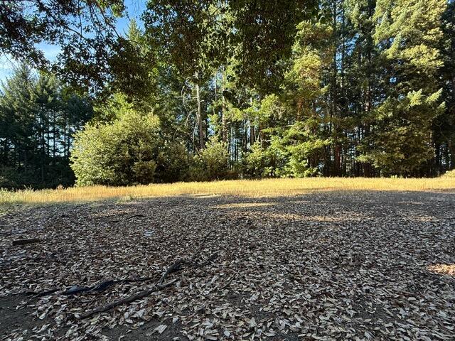 4149 Wilder Ridge Road Garberville, CA 95542 - Photo 17 of 23