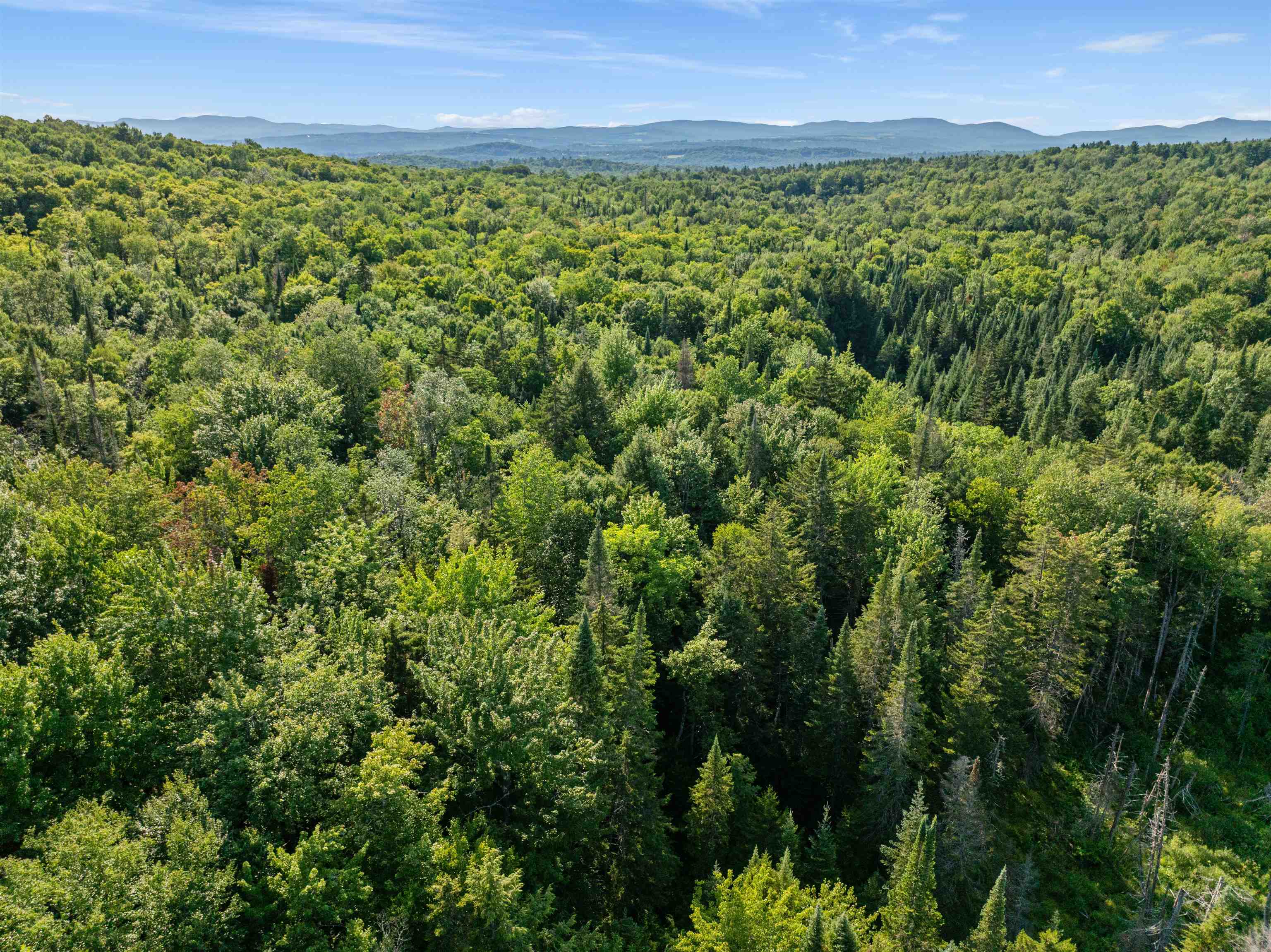 1019 Pinkham Road Burke, VT 05832 - Photo 40 of 42 Gallery Image 40