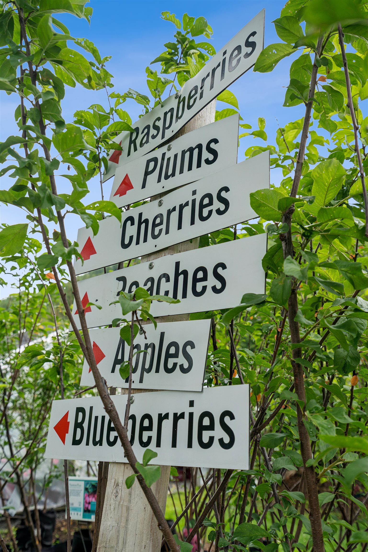 3782 Us Route 113 Thetford Center, VT 05075 - Photo 24 of 36