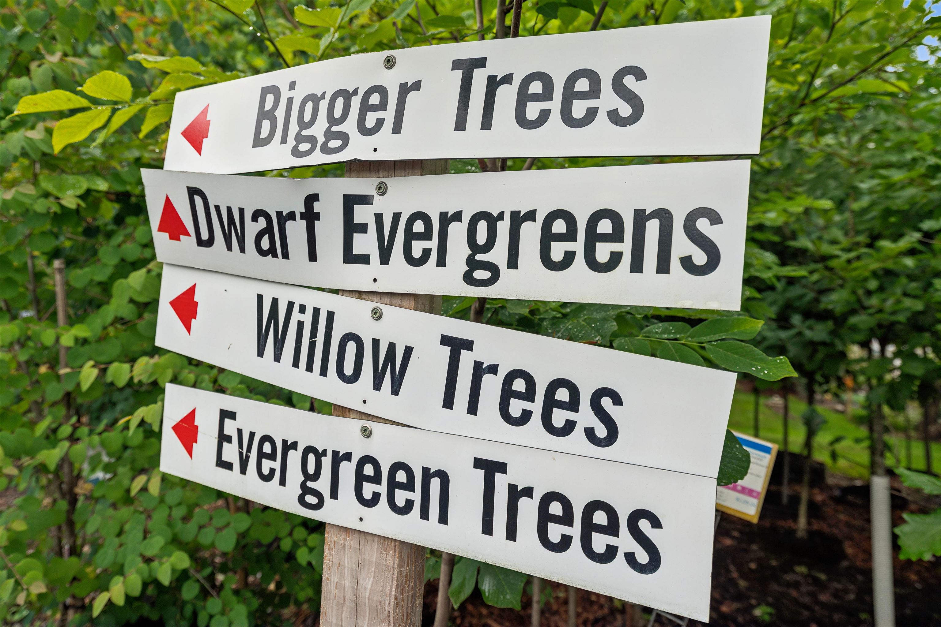 3782 Us Route 113 Thetford Center, VT 05075 - Photo 25 of 36