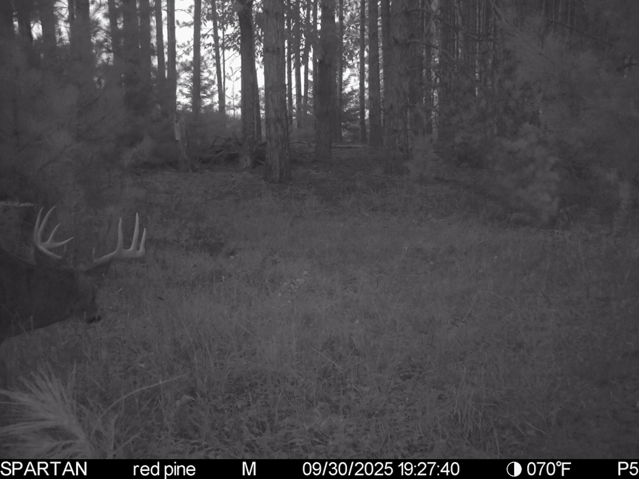 72000 East 46 Road Cadillac, MI 49601 - Photo 21 of 41 EF700F81-89EA-4492-B14E-0D7F174272E7