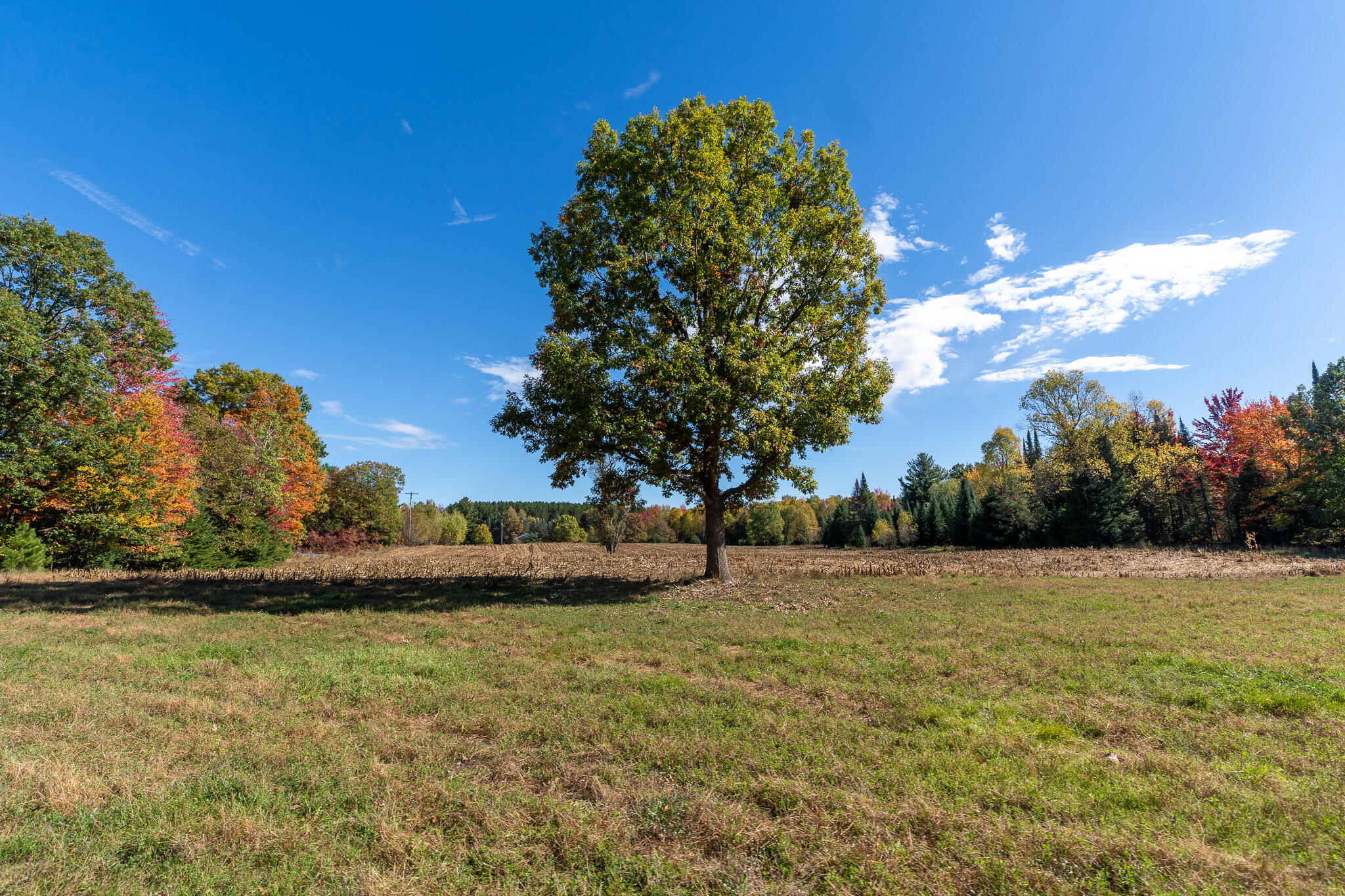 72000 East 46 Road Cadillac, MI 49601 - Photo 23 of 41 DSC08590