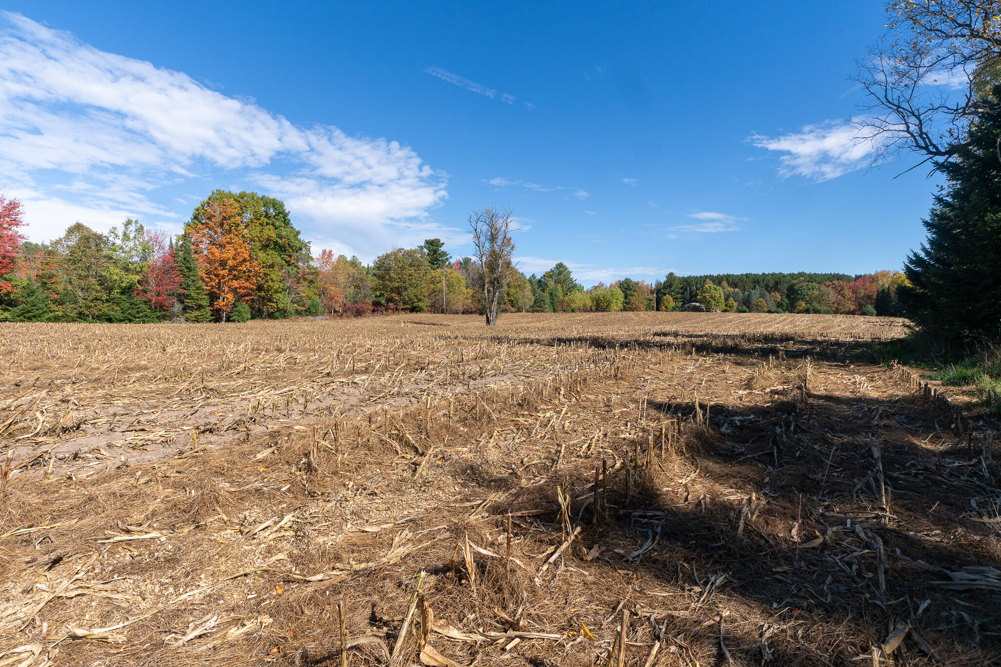 72000 East 46 Road Cadillac, MI 49601 - Photo 24 of 41 DSC08586