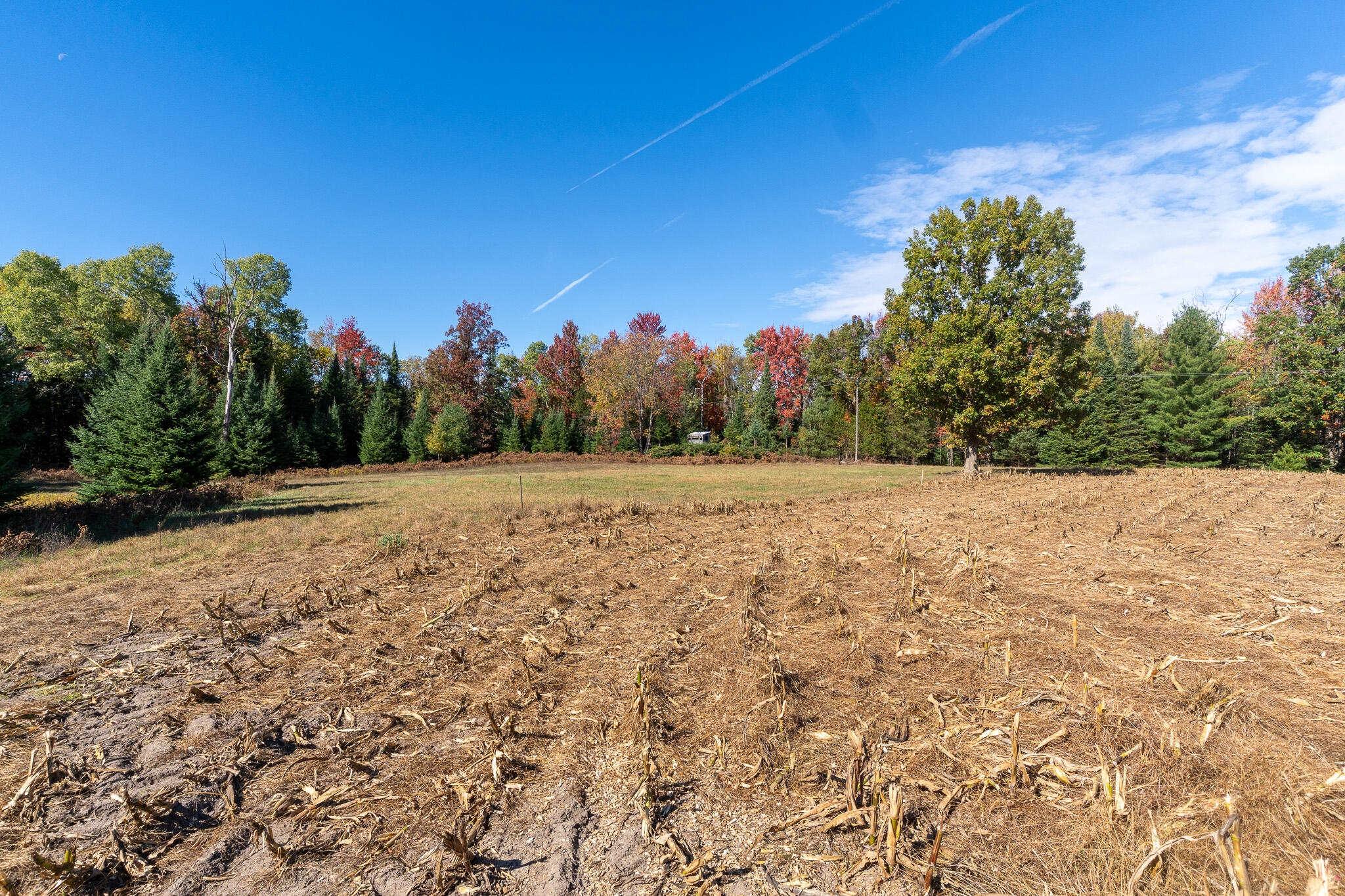 72000 East 46 Road Cadillac, MI 49601 - Photo 25 of 41 DSC08587