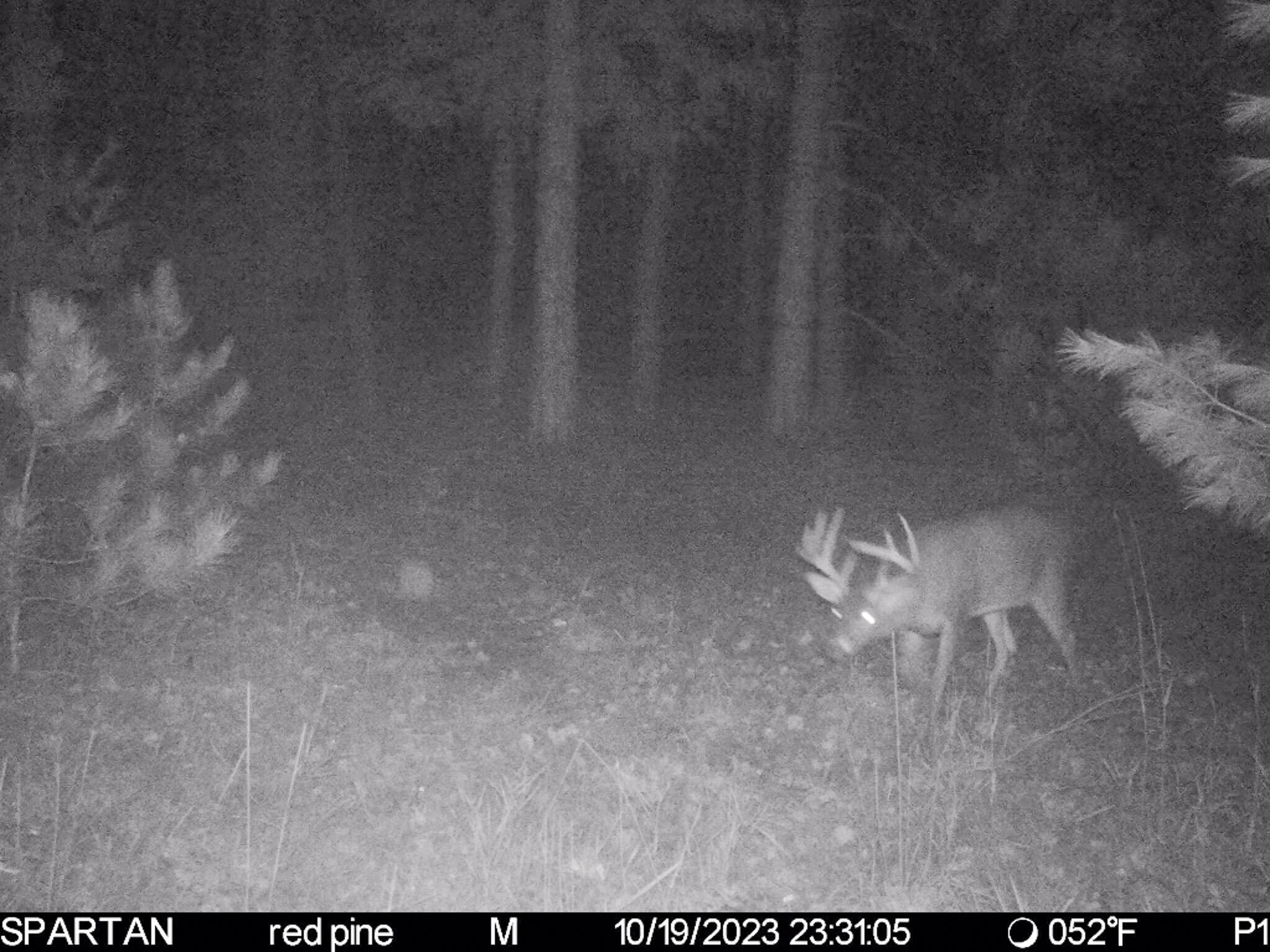 72000 East 46 Road Cadillac, MI 49601 - Photo 30 of 41 46BE8213-2D67-428E-B973-D27B2465DF57