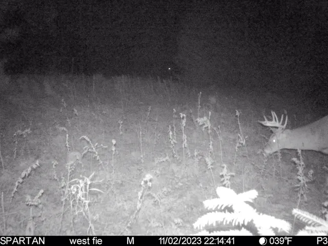 $429,000 | 72000 East 46 Road, Cadillac, MI 49601