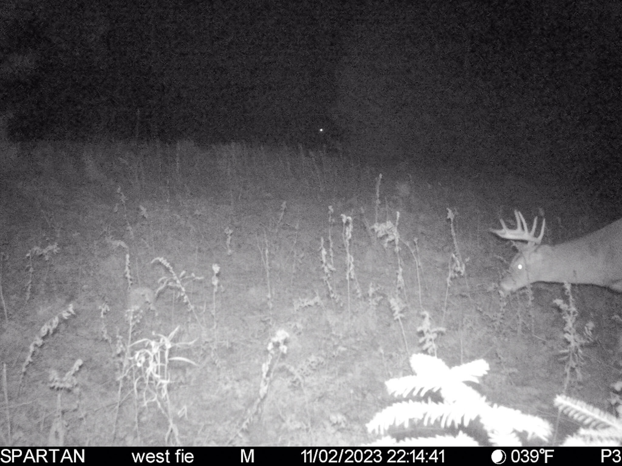 72000 East 46 Road Cadillac, MI 49601 - Photo 31 of 41 3AF45A71-F1D0-4A02-827A-620FDE665EC8