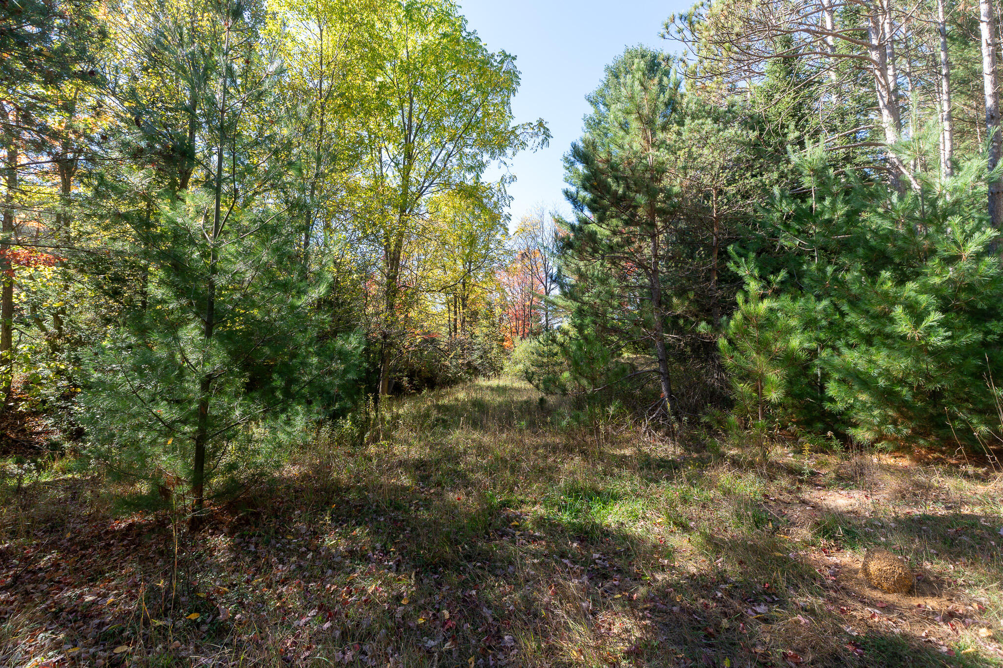 72000 East 46 Road Cadillac, MI 49601 - Photo 34 of 41 DSC08615