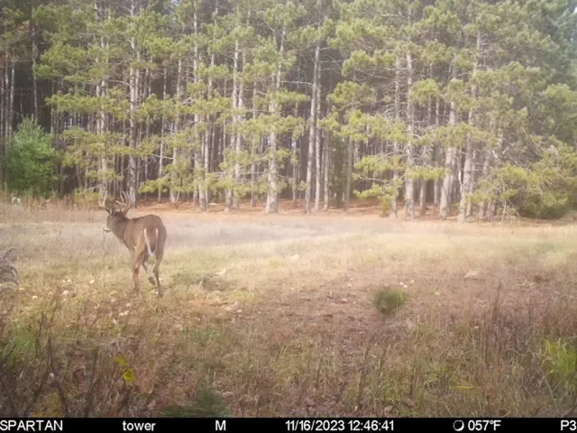 $429,000 | 72000 East 46 Road, Cadillac, MI 49601