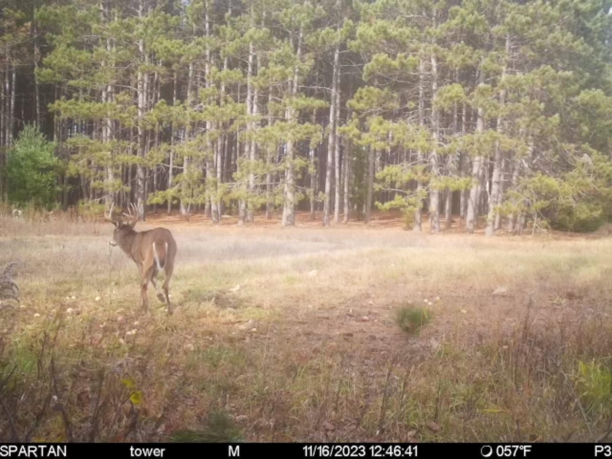 72000 East 46 Road Cadillac, MI 49601 - Photo 35 of 41 4B2C119B-FF8A-459A-949B-F53E29950ADF