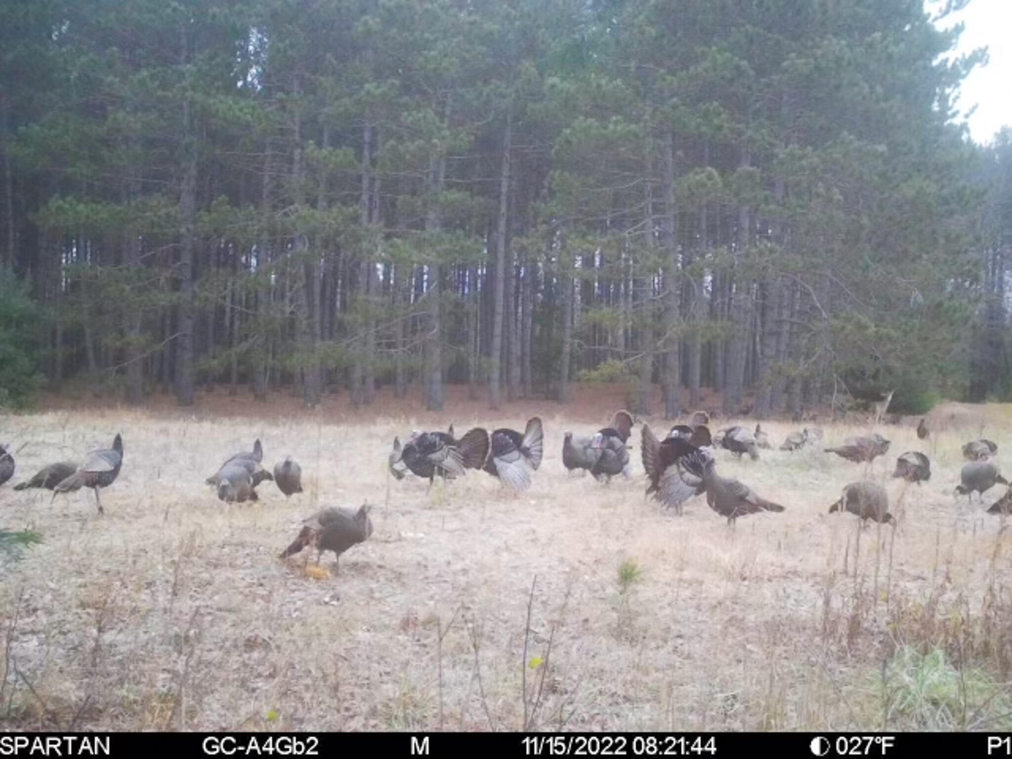 72000 East 46 Road Cadillac, MI 49601 - Photo 37 of 41 AE3D7403-6FD2-4CF9-8755-2A604D0CE871