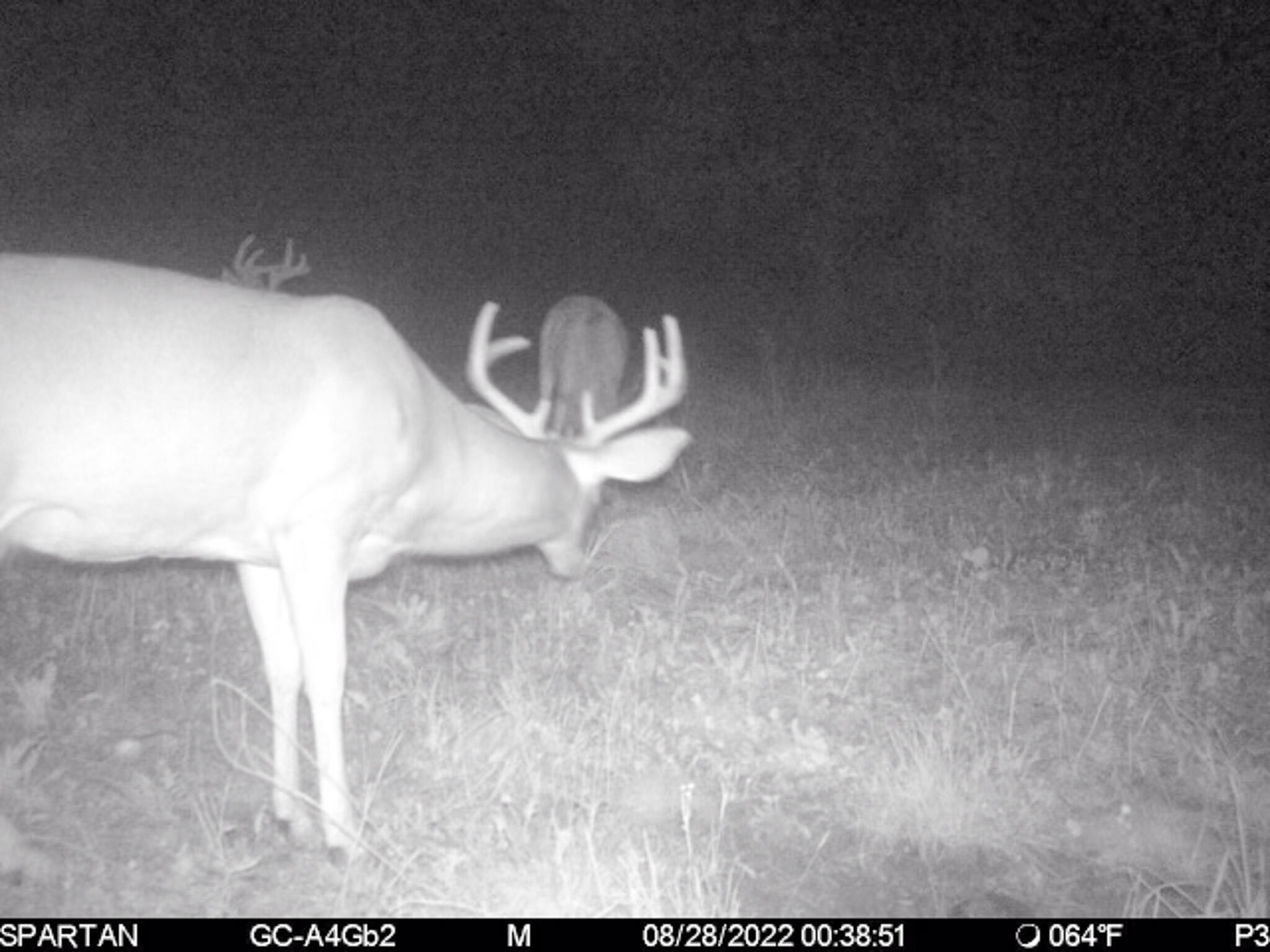 72000 East 46 Road Cadillac, MI 49601 - Photo 38 of 41 3E699194-67F3-4C7A-877E-BD174A853290