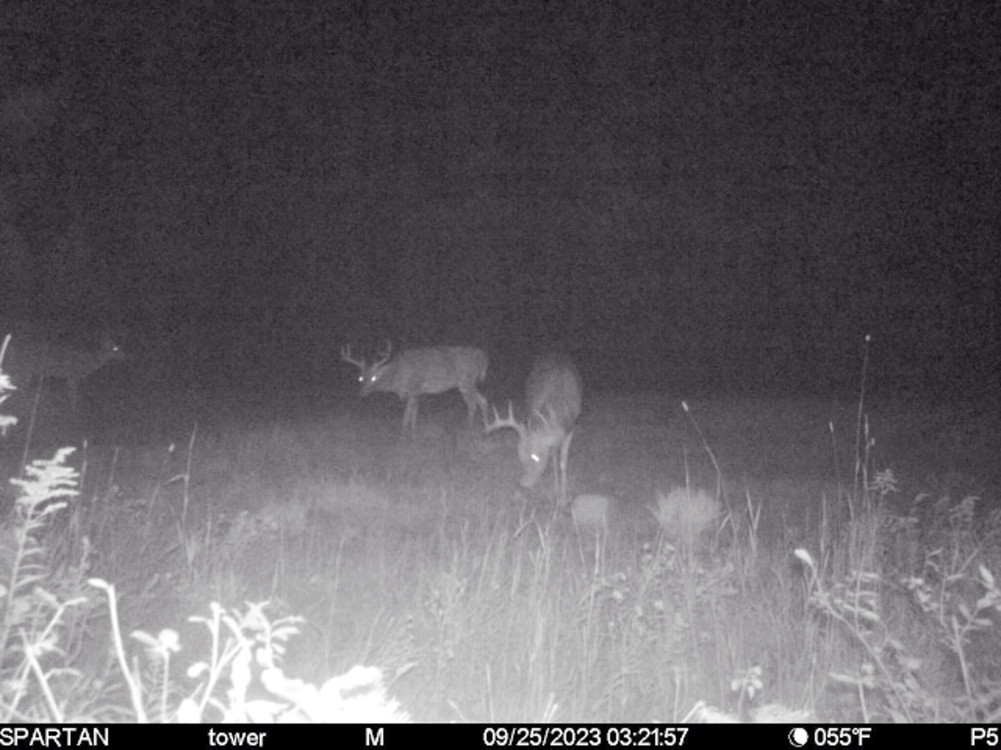 72000 East 46 Road Cadillac, MI 49601 - Photo 40 of 41 97044165-5999-4D4B-B51C-04DB24272C14