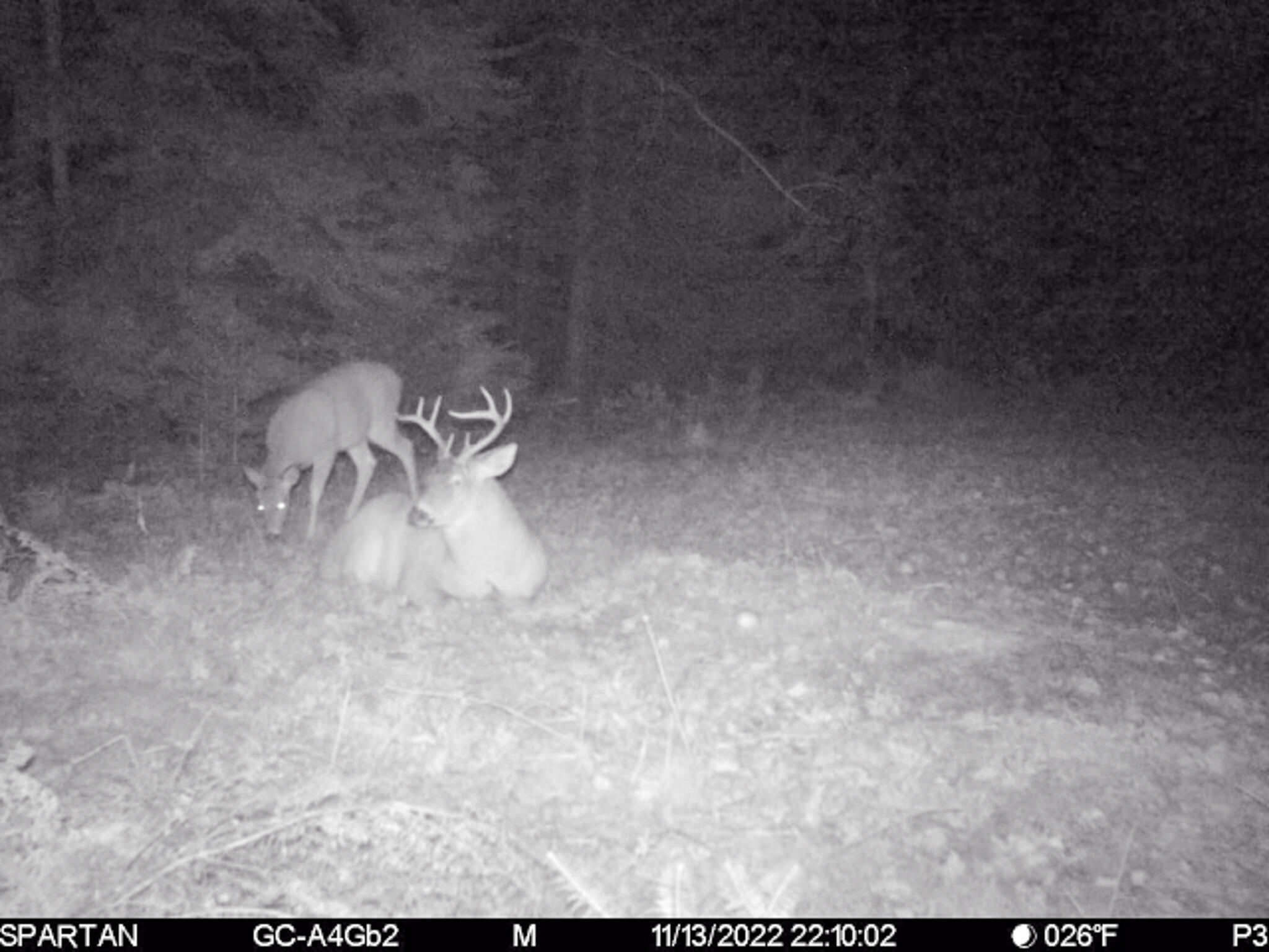 72000 East 46 Road Cadillac, MI 49601 - Photo 41 of 41 B641C499-E817-48FE-B3B3-5FAD5C5D1EC3