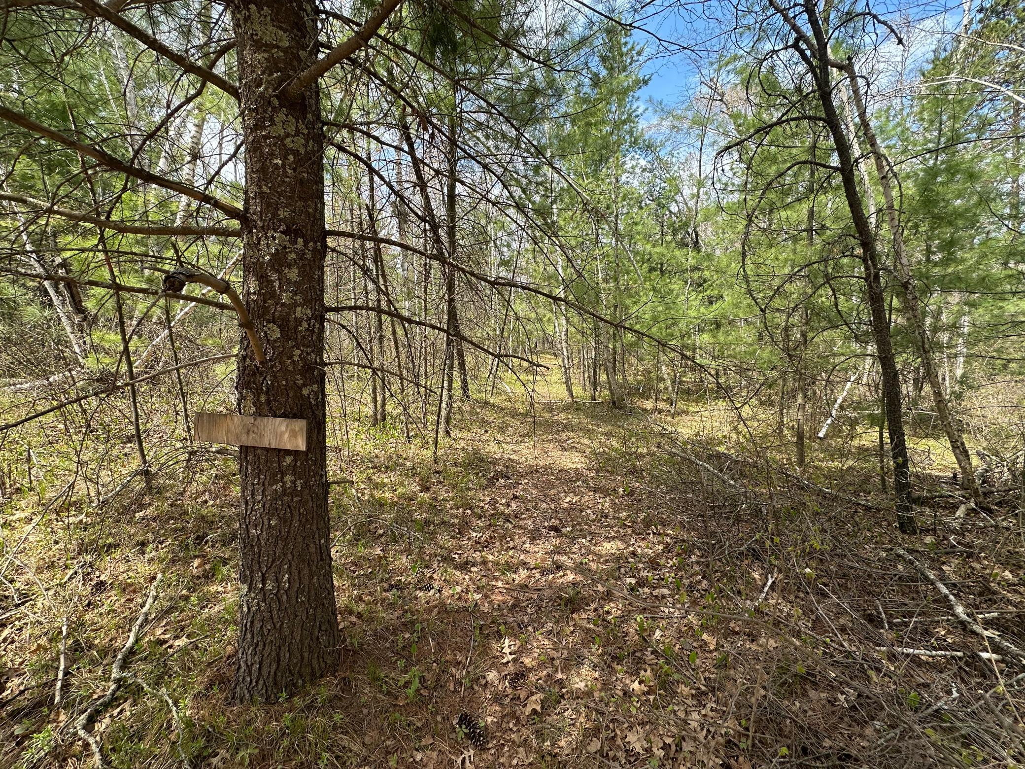 Tbd Dobosenski Road Sturgeon Lake, MN 55783 - Photo 10 of 22