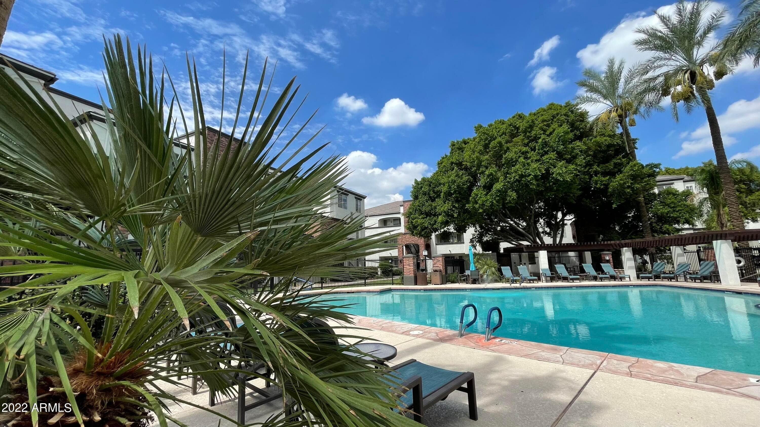 3302 North 7th Street, Unit 222 Phoenix, AZ 85014 - Photo 21 of 30 a view of a swimming pool with a yard and potted plants