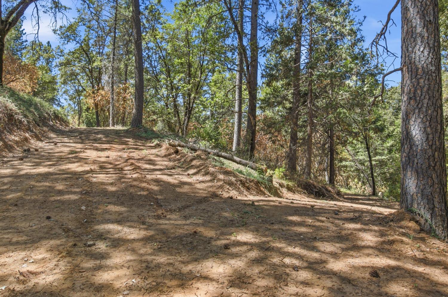 0 Sly Park Road Placerville, CA 95667 - Photo 20 of 27 Gallery Image 20