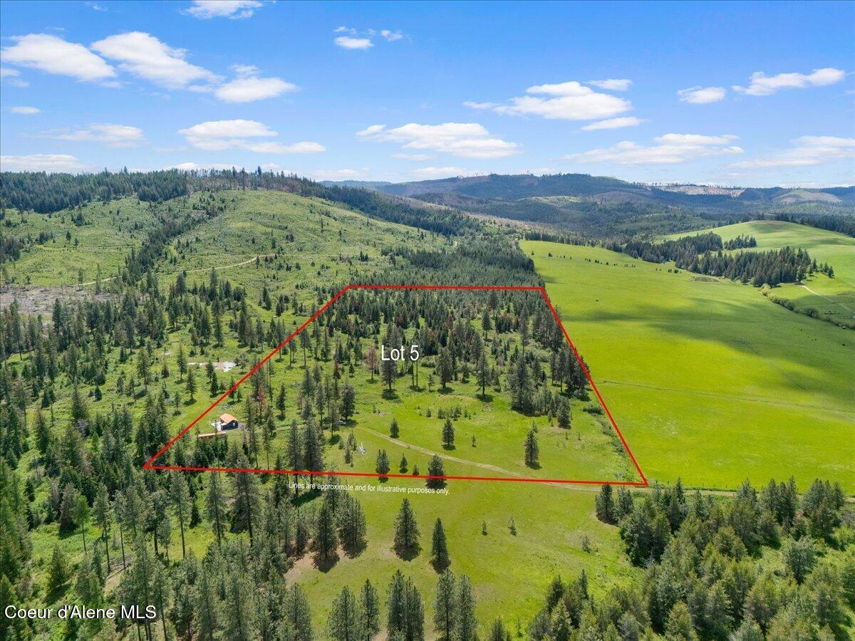 572 Foote Road Desmet, ID 83824 - Photo 8 of 38 Parcel 5