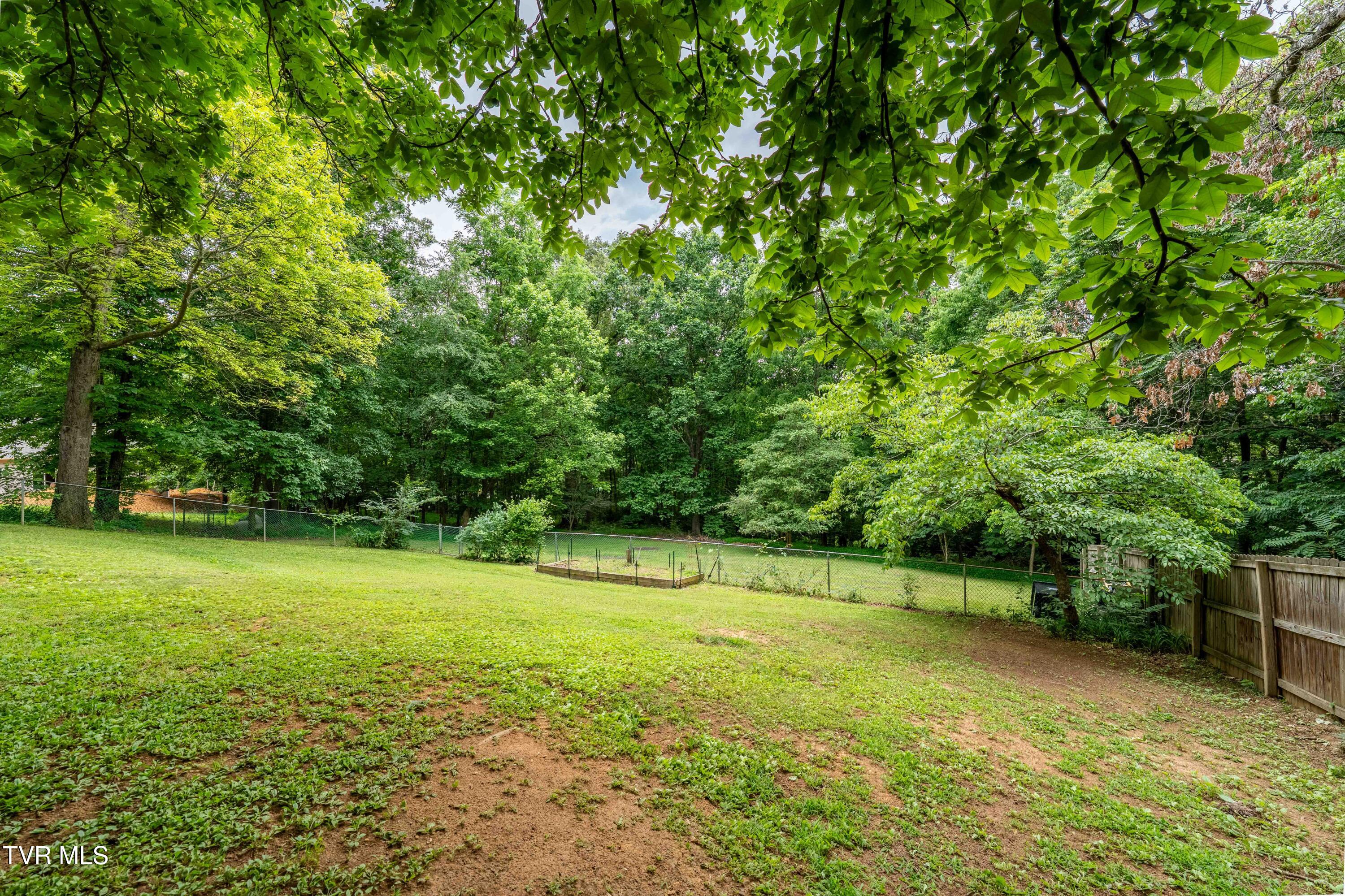 149 Cochran Road Jonesborough, TN 37659 - Photo 49 of 57 149 Cochran Rd (22 of 58)
