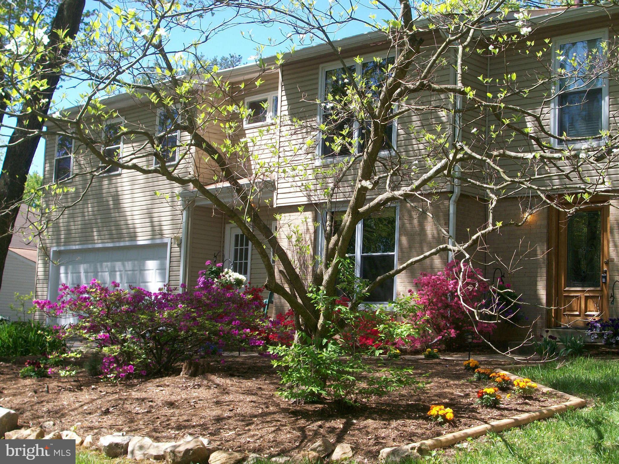 14308 Sturtevant Road Silver Spring, MD 20905 - Photo 1 of 30 Exterior (Front)
