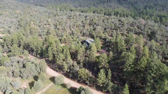 a view of a dry yard with trees