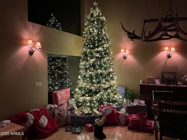 a room with lots of trees and flowers
