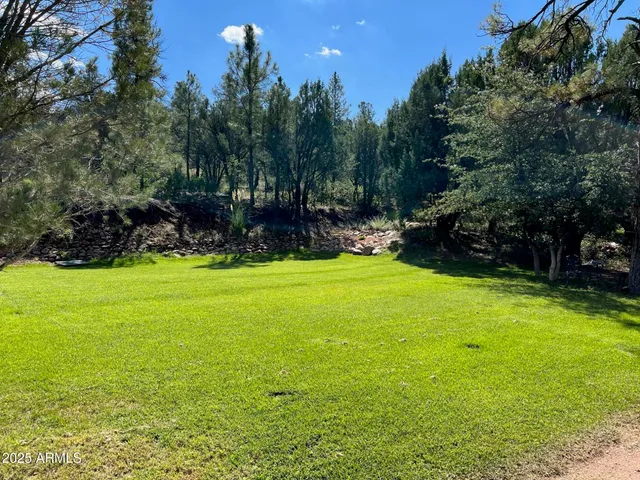 a view of outdoor space and trees
