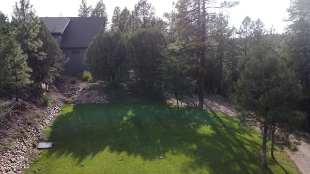 a view of a backyard with large trees