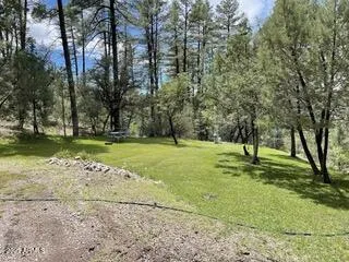 a view of a brick wall with a tree