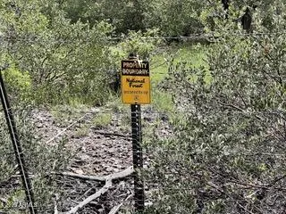 $799,000 | 7816 West W Forest, Unit 200, Young, AZ 85554