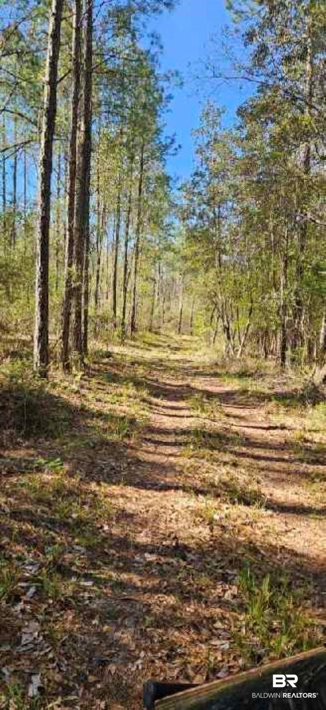 27861 New Hope Church Road Robertsdale, AL 36567 - Photo 27 of 29 View of local wilderness