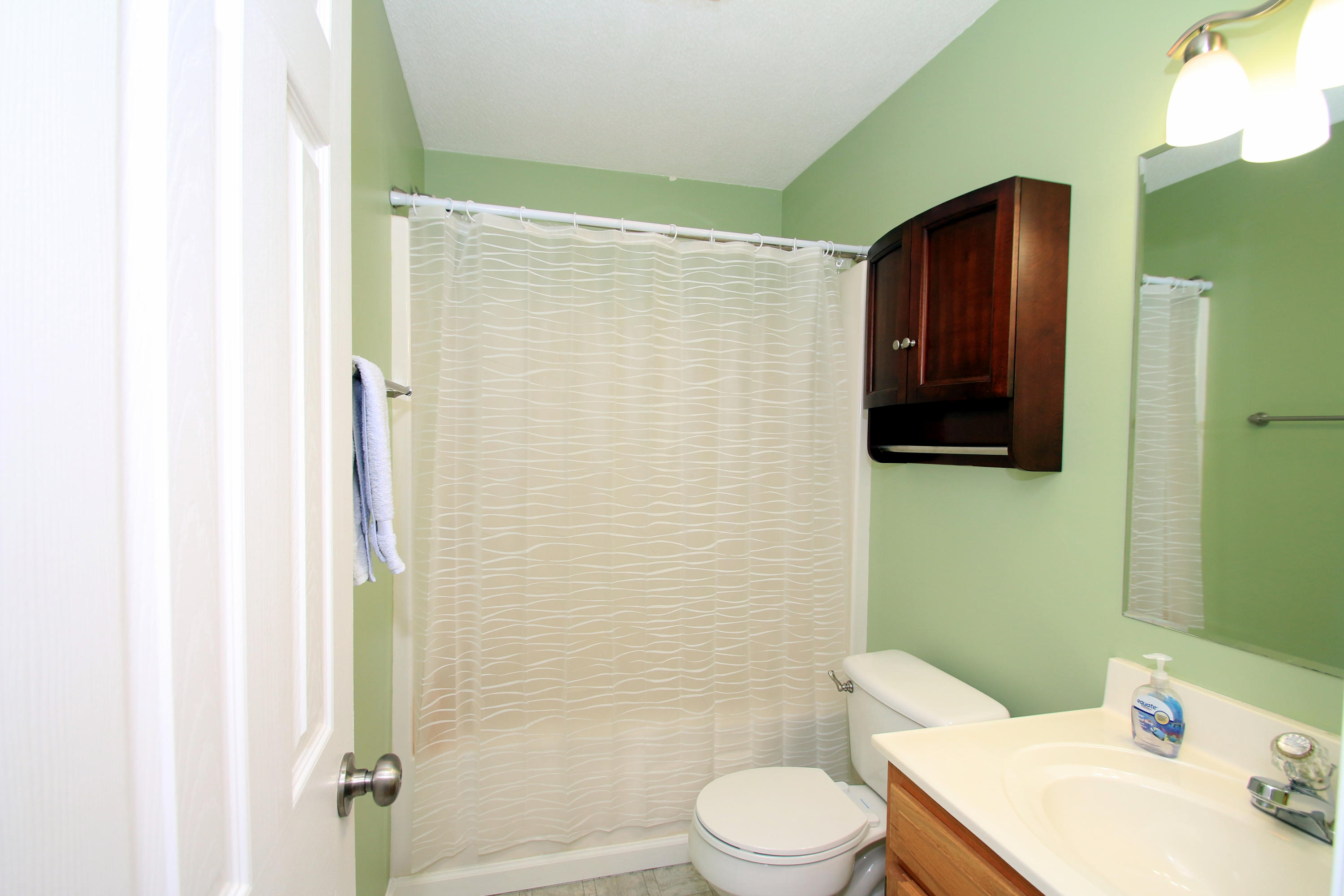 7524 Gary White Road Corryton, TN 37721 - Photo 14 of 17 Guest Bath