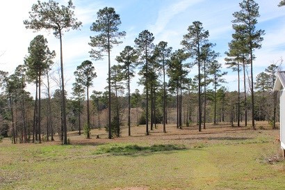1196 Sweetwater Road Edgefield, SC 29824 - Photo 15 of 27