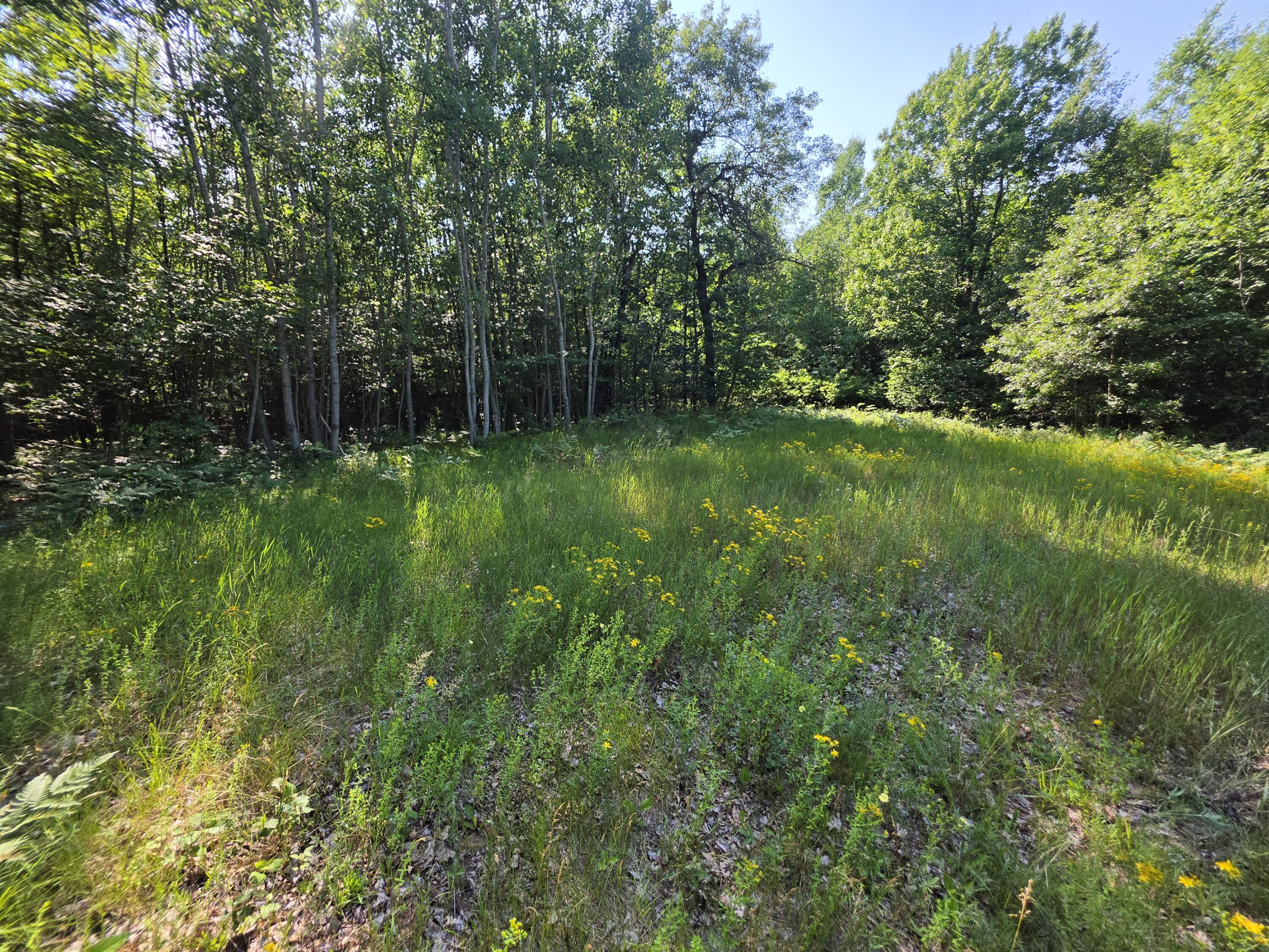 1.55-acres Oak Ridge Road Amberg, WI 54102 - Photo 2 of 6 095a0305-3de2-49c4-8e6b-56ba677fc181-1_a