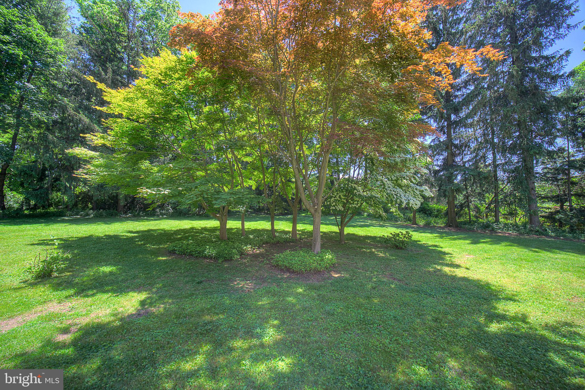 130 Sycamore Mills Road Media, PA 19063 - Photo 35 of 40