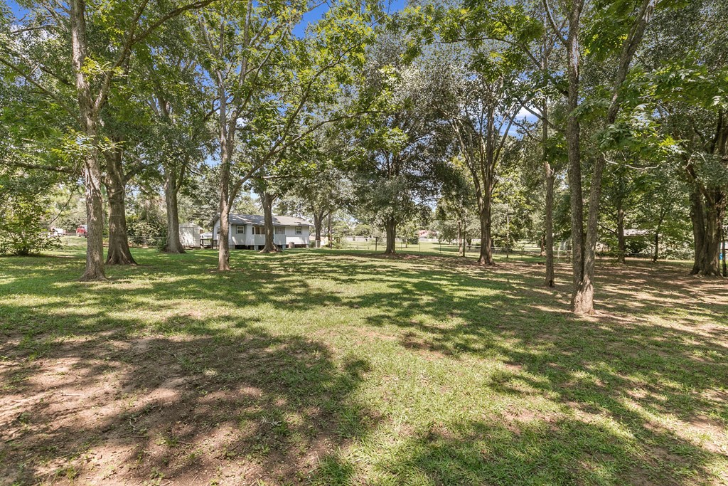 4341 Flowers Chapel Road Dothan, AL 36305 - Photo 21 of 25 Gallery Image 21