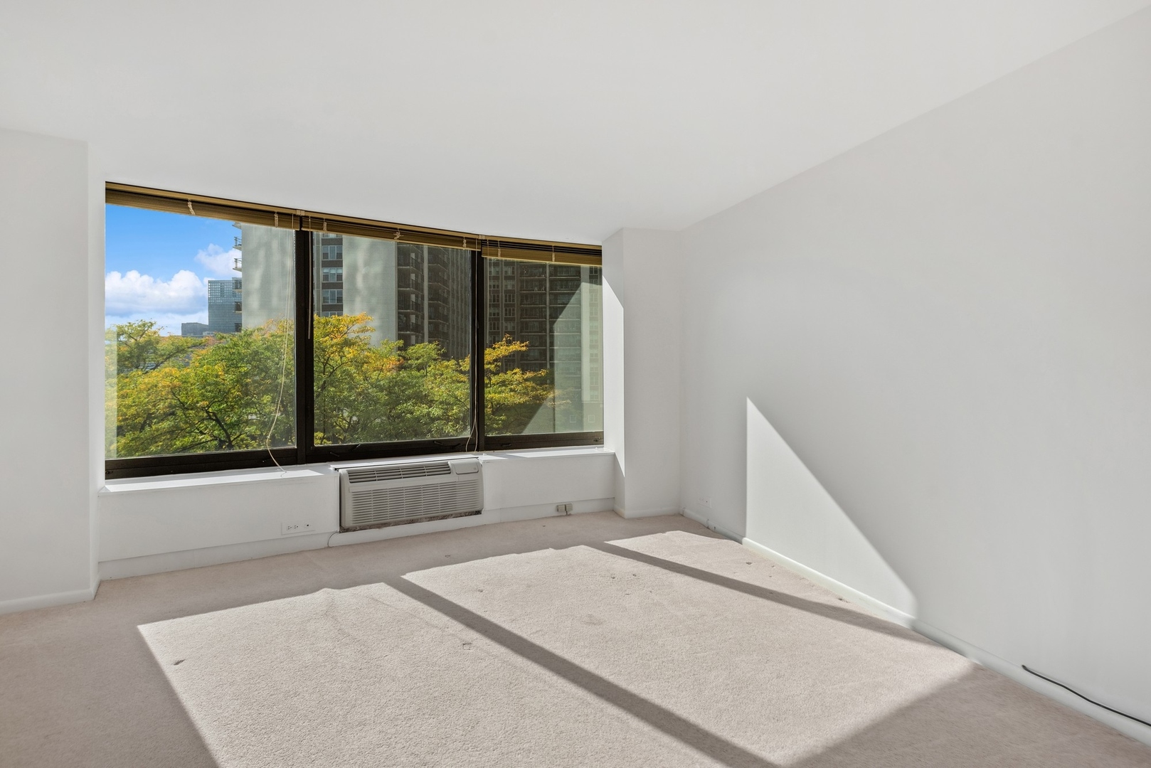 155 North Harbor Drive, Unit 403 Chicago, IL 60601 - Photo 11 of 24