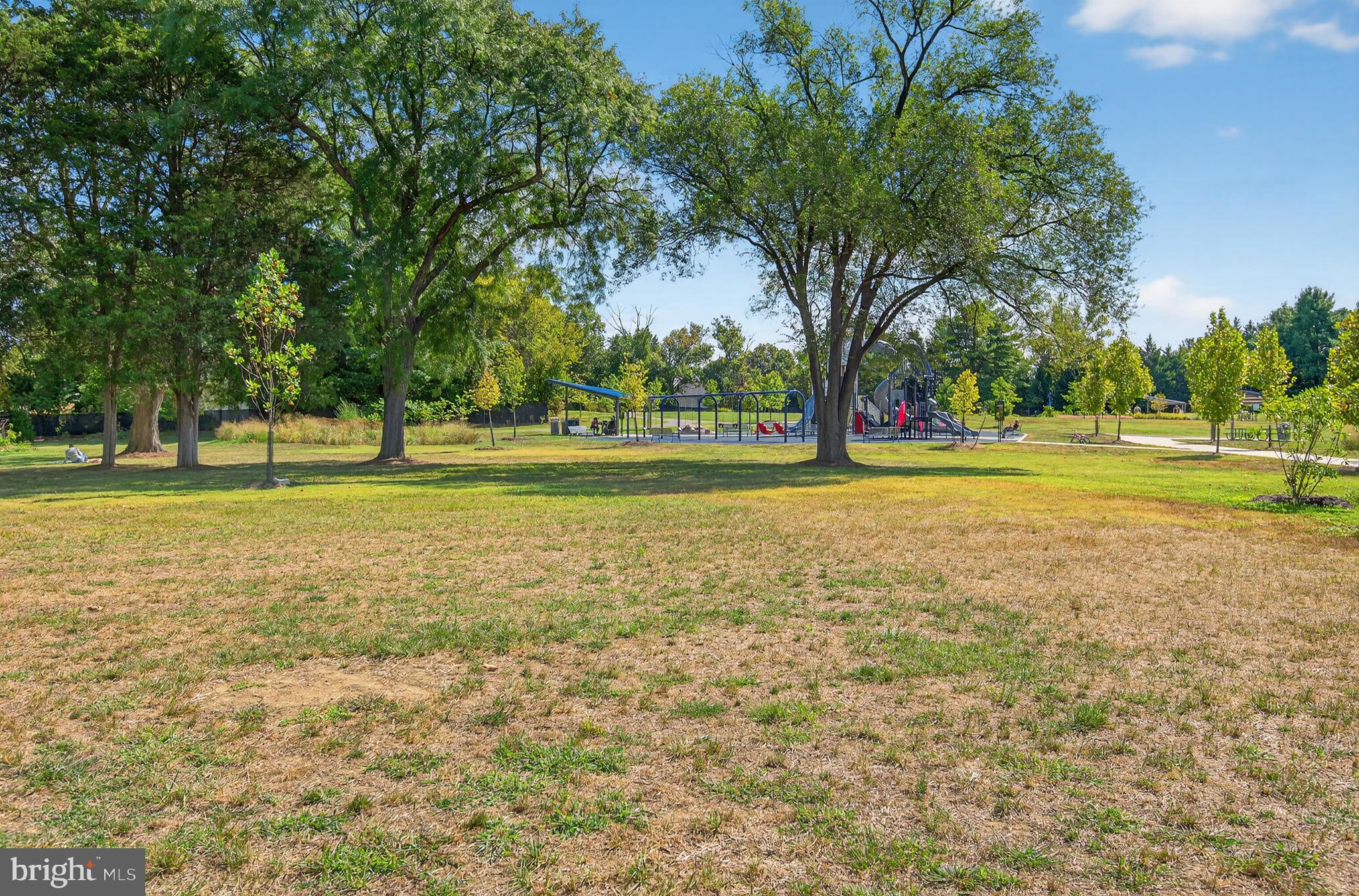 5 Turnham Court Gaithersburg, MD 20878 - Photo 46 of 56 a yard with lots of trees and plants