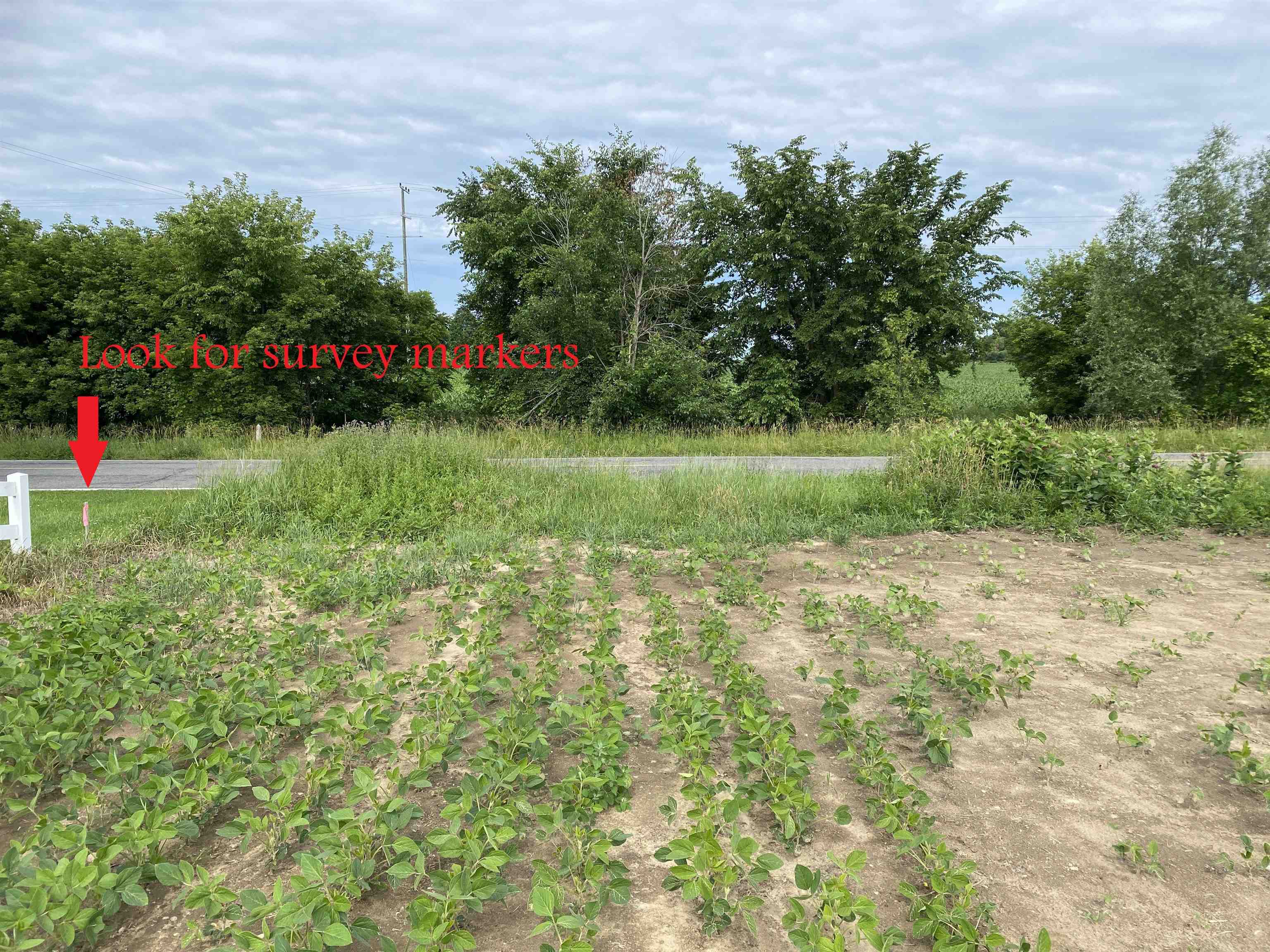 0 Elm (parcel B) Road Webberville, MI 48892 - Photo 6 of 8