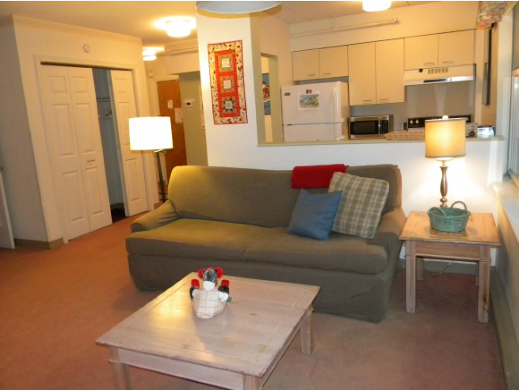 28-201 Packard's Road, Unit 201 Waterville Valley, NH 03215 - Photo 1 of 12