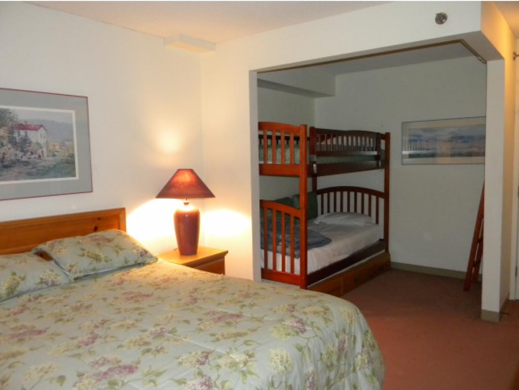 28-201 Packard's Road, Unit 201 Waterville Valley, NH 03215 - Photo 5 of 12